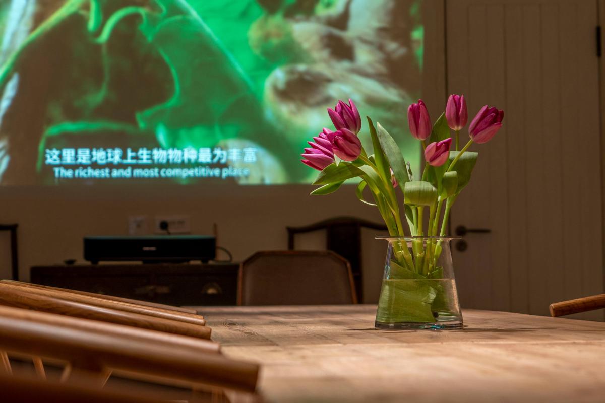 Han Tang Inn Hostel photo 2