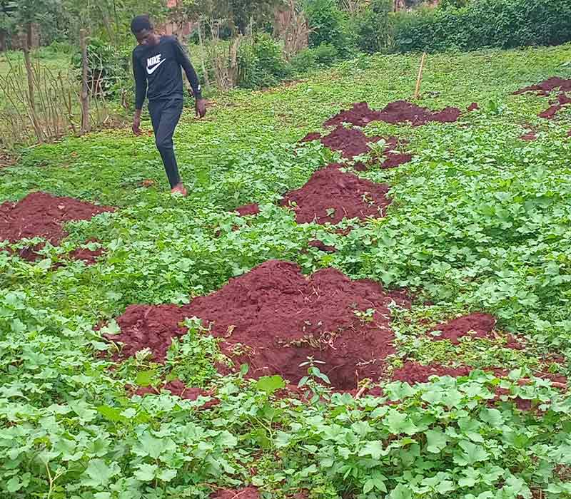 HGAD Foundation photo 2