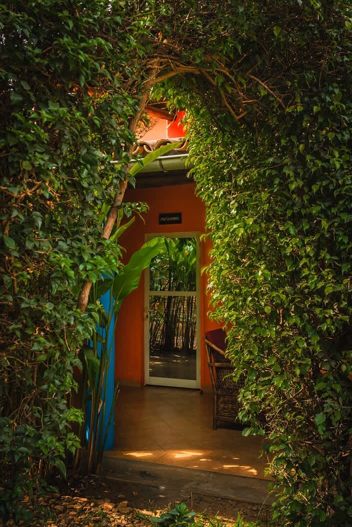 Aparthotel Jardin Tropical photo 4