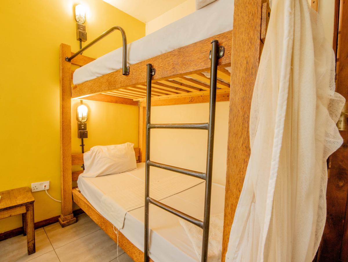 The Slow Leopard Hostel photo 2
