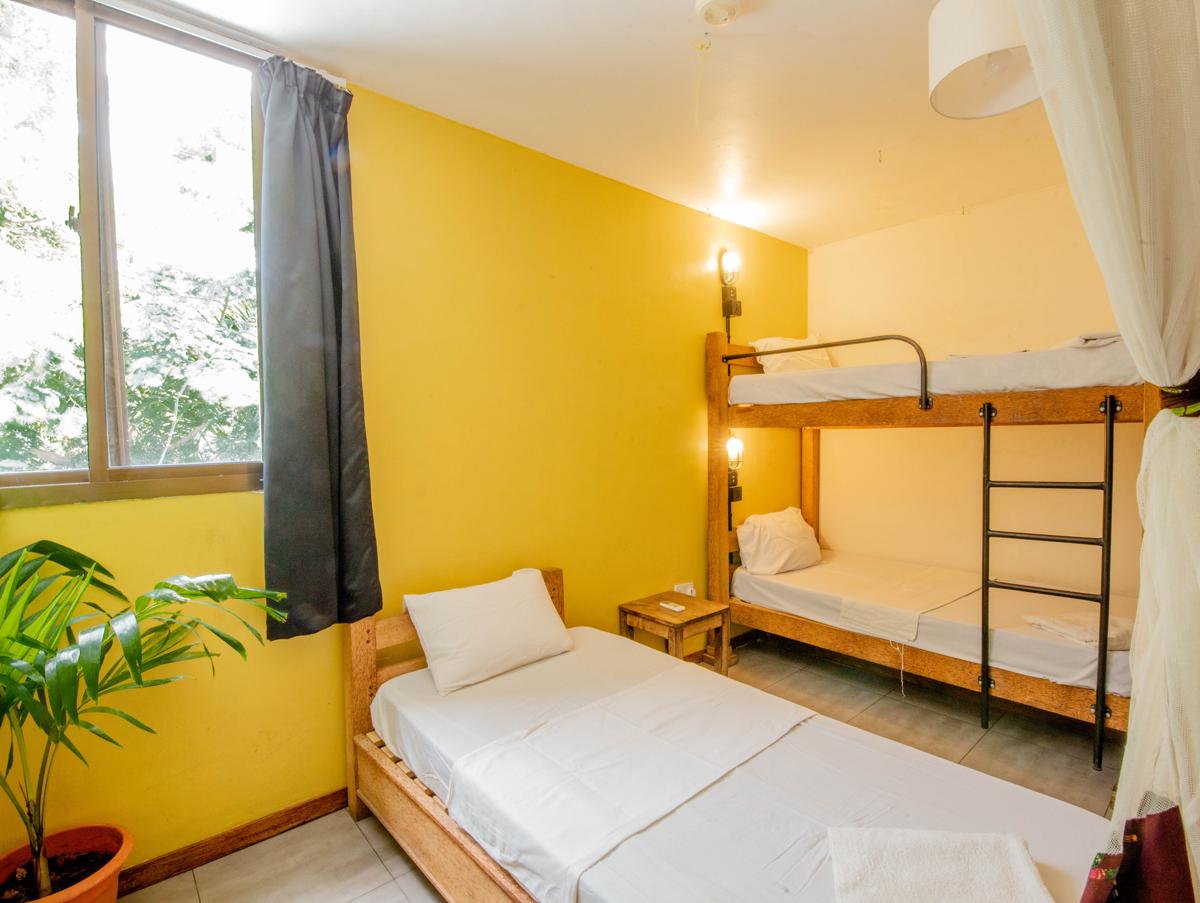The Slow Leopard Hostel photo 3