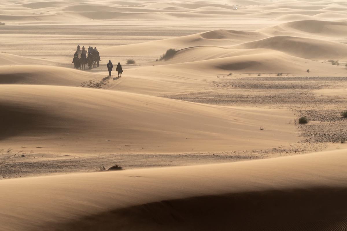 Le Gout Du Sahara Backpackers Lodge photo 2