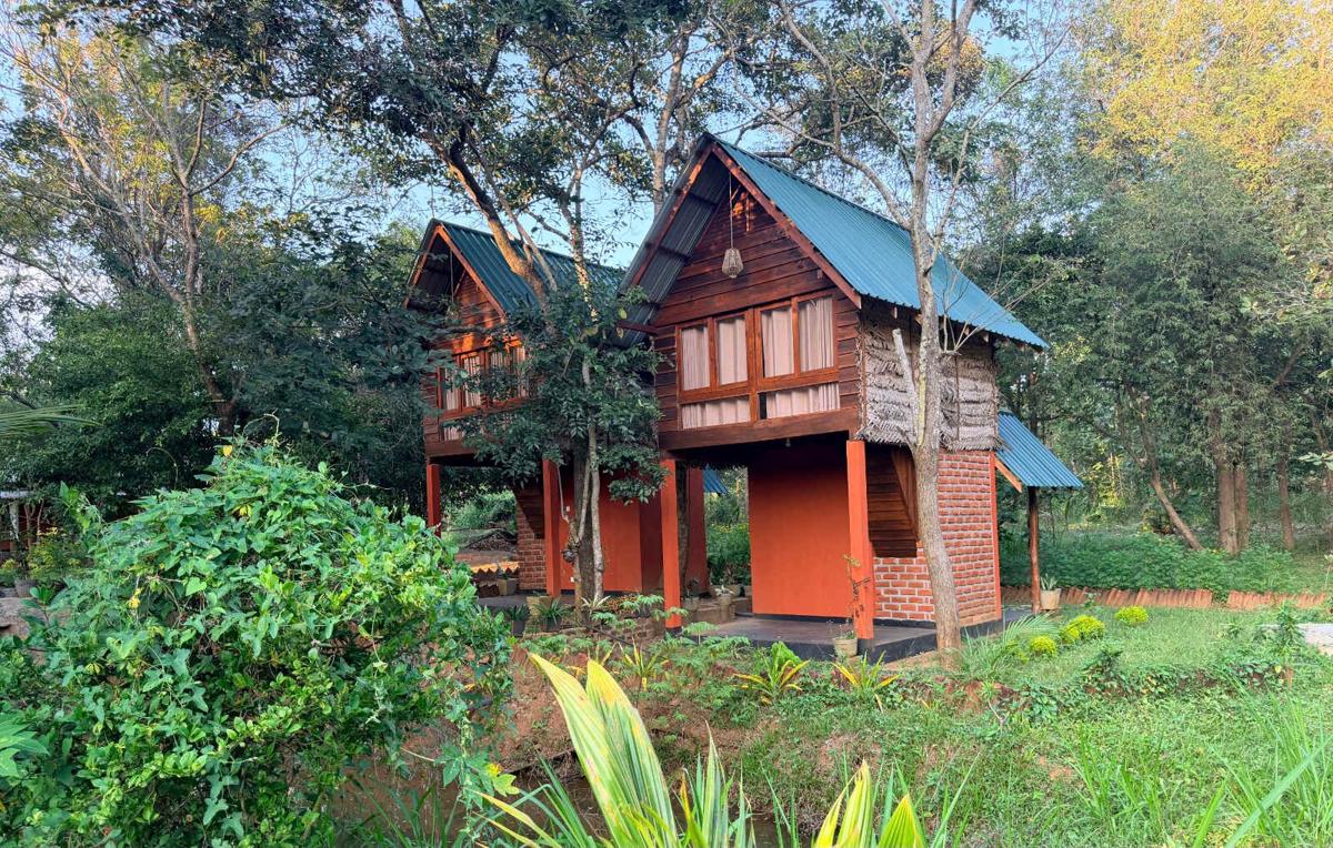 Mango Tree Home Stay photo 1