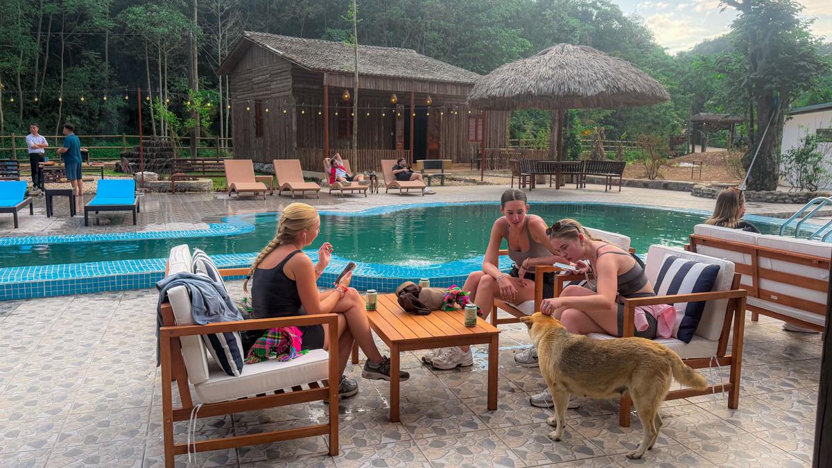 Loop Tribe Social Hostel photo 2