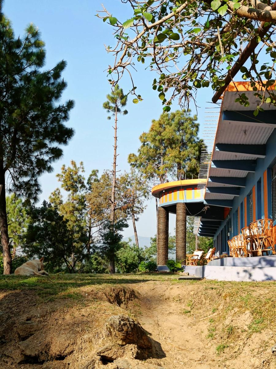 RabbitHole Kasar photo 3