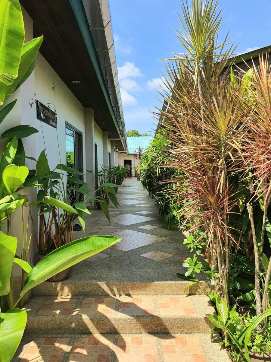 Muchshima House photo 4