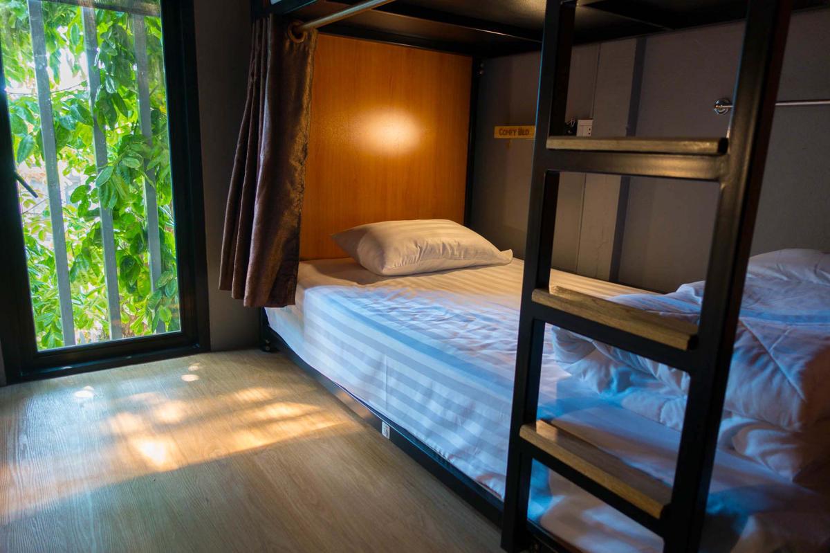 Comfy Bed Hostel photo 1