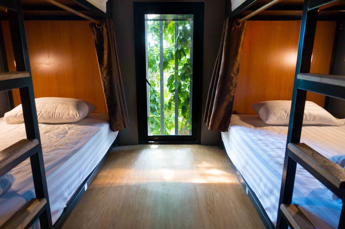 Comfy Bed Hostel photo 3