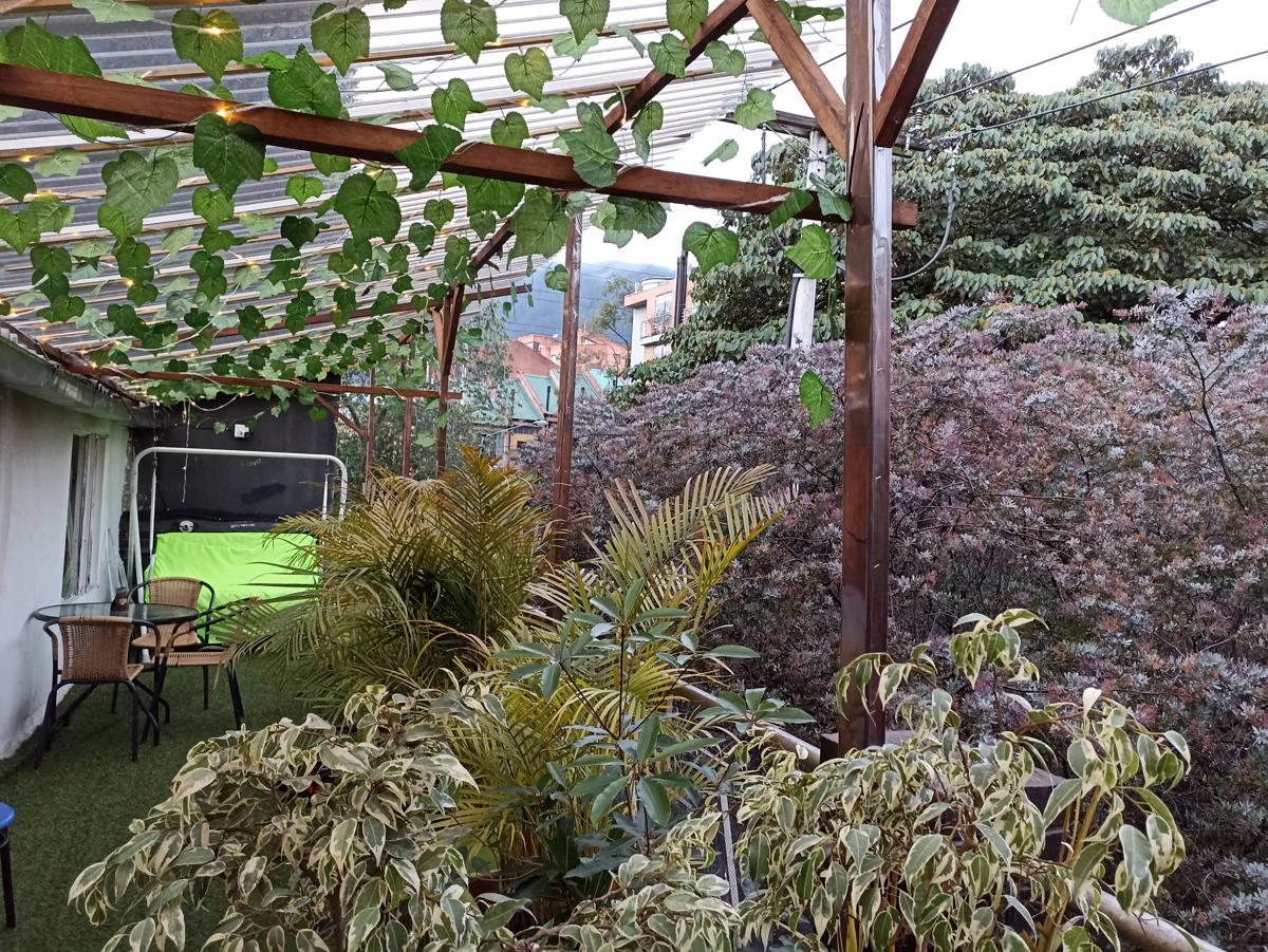 Backpackers La Terraza photo 3