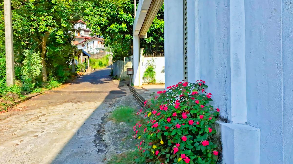 Roamer's Ark Kandy photo 2