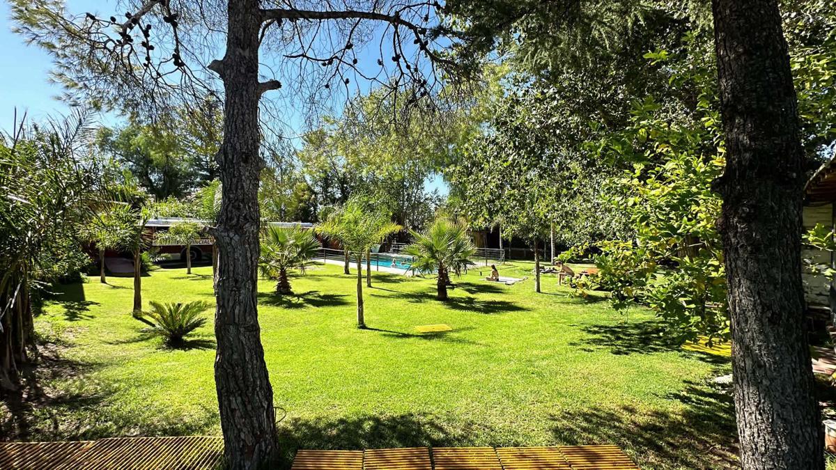 Lemon Tree Hostel photo 1