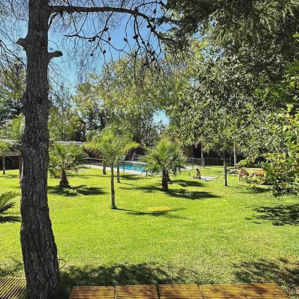 Lemon Tree Hostel photo 5