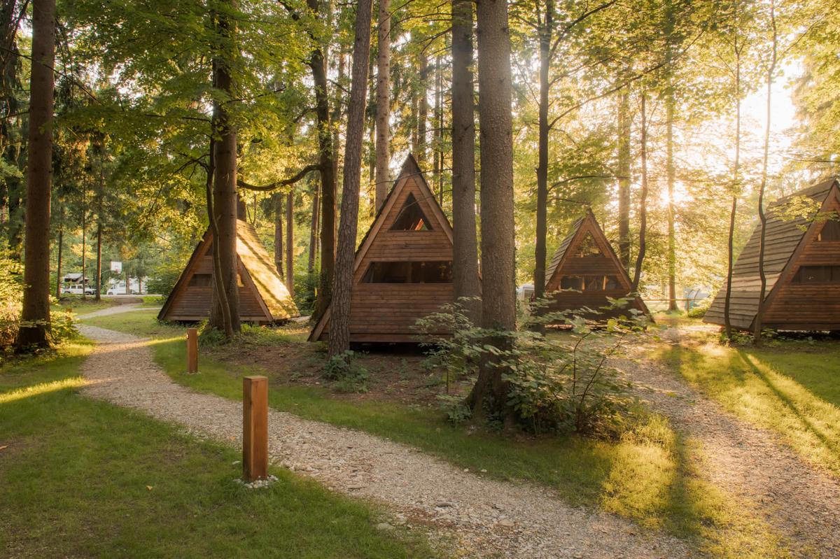 NaturAvantura - Forest camping Mozirje photo 2