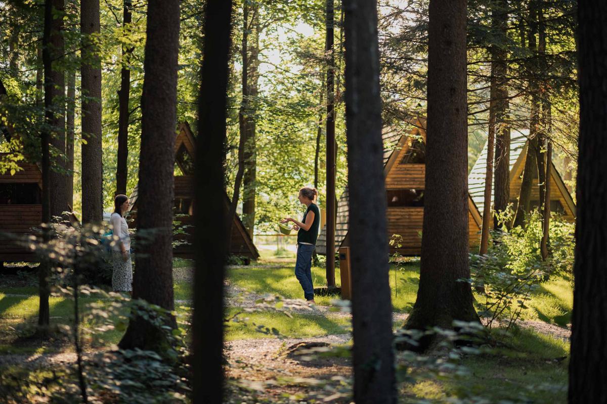 NaturAvantura - Forest camping Mozirje photo 3