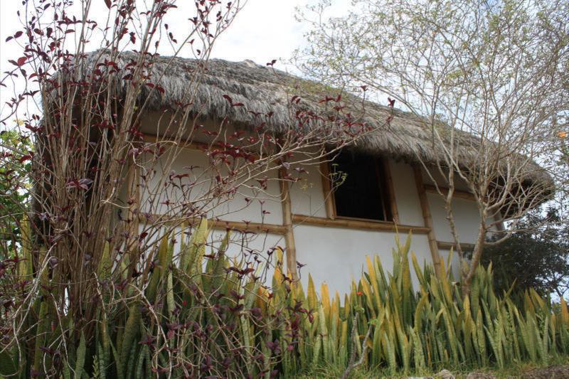 Muyuyo Lodge photo 3