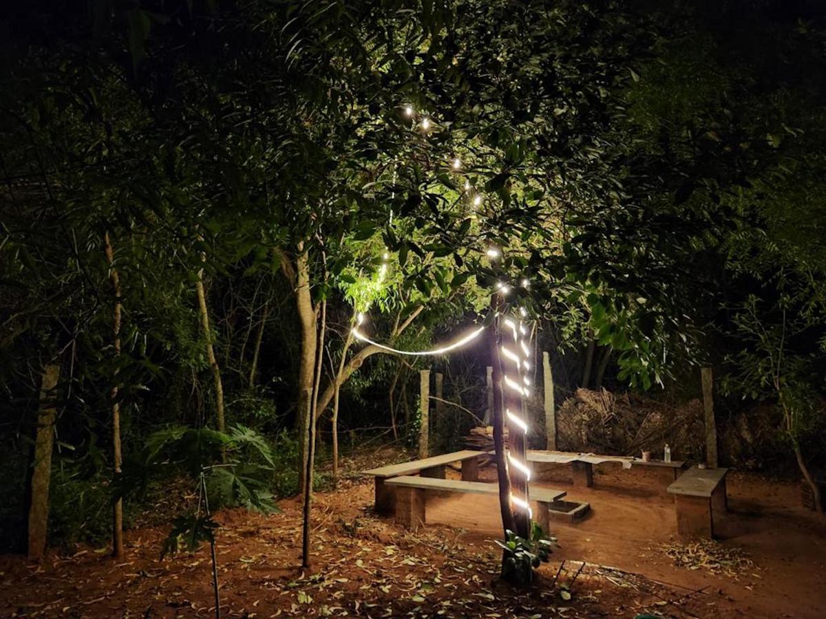 Nebula Nest Cafe & Hostel photo 3