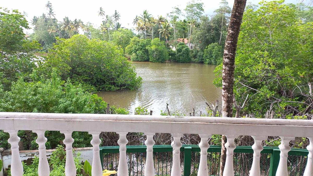 Shanon Lake Villa photo 3