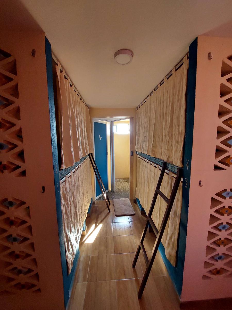 Hostal Venado 28 photo 3