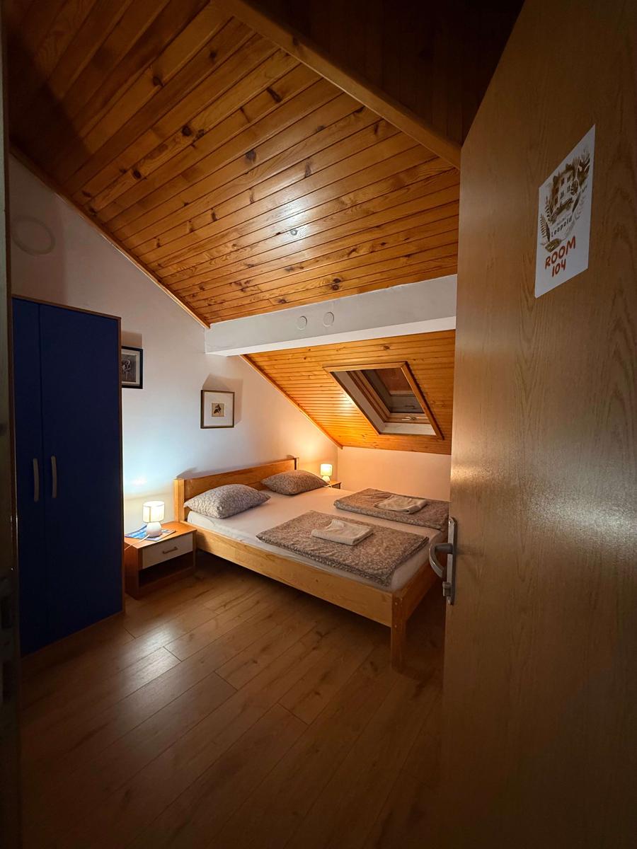 Leopold Chillout Hostel photo 3