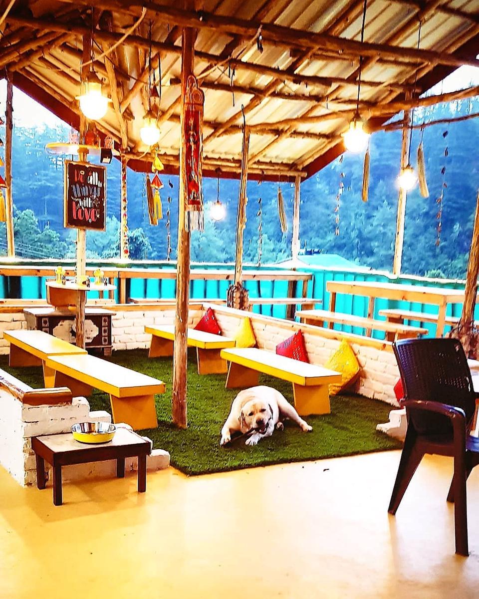 The Culture Nation Hostel photo 4