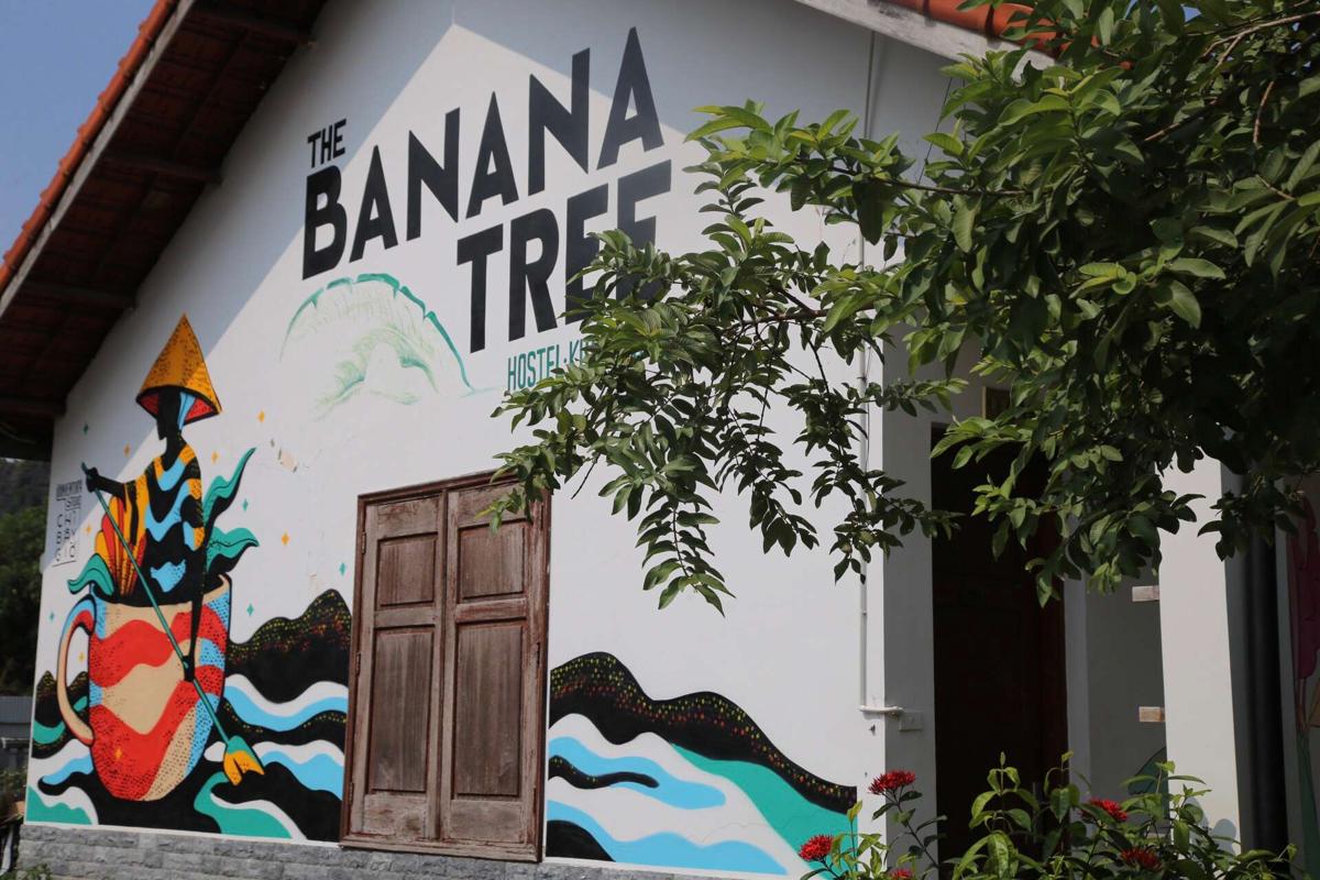 The Banana Tree Hostel photo 2