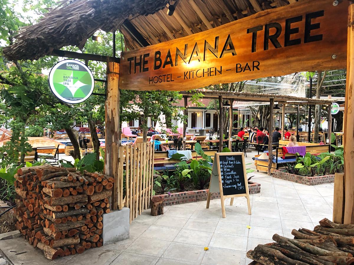 The Banana Tree Hostel photo 3