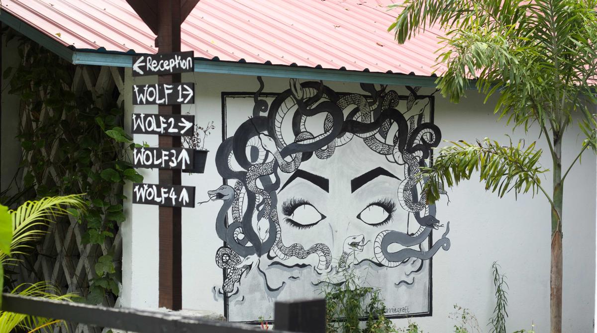 House of Wolves Hostel photo 3