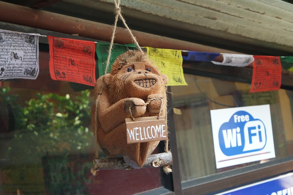Pokhara Youth Hostel photo 1
