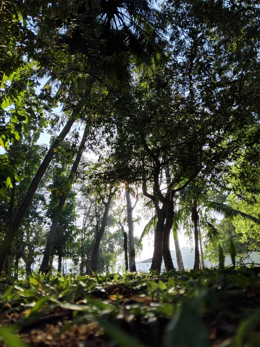 Nature's Lake View Sigiriya photo 1