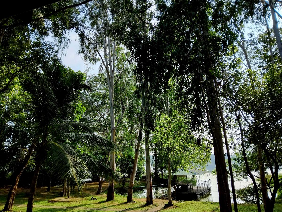 Nature's Lake View Sigiriya photo 2