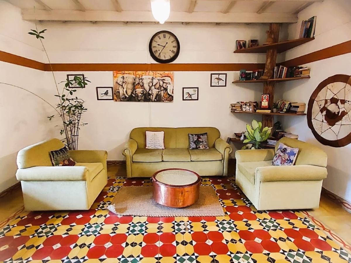 Bunk Club Hostel by Morley's Place photo 2