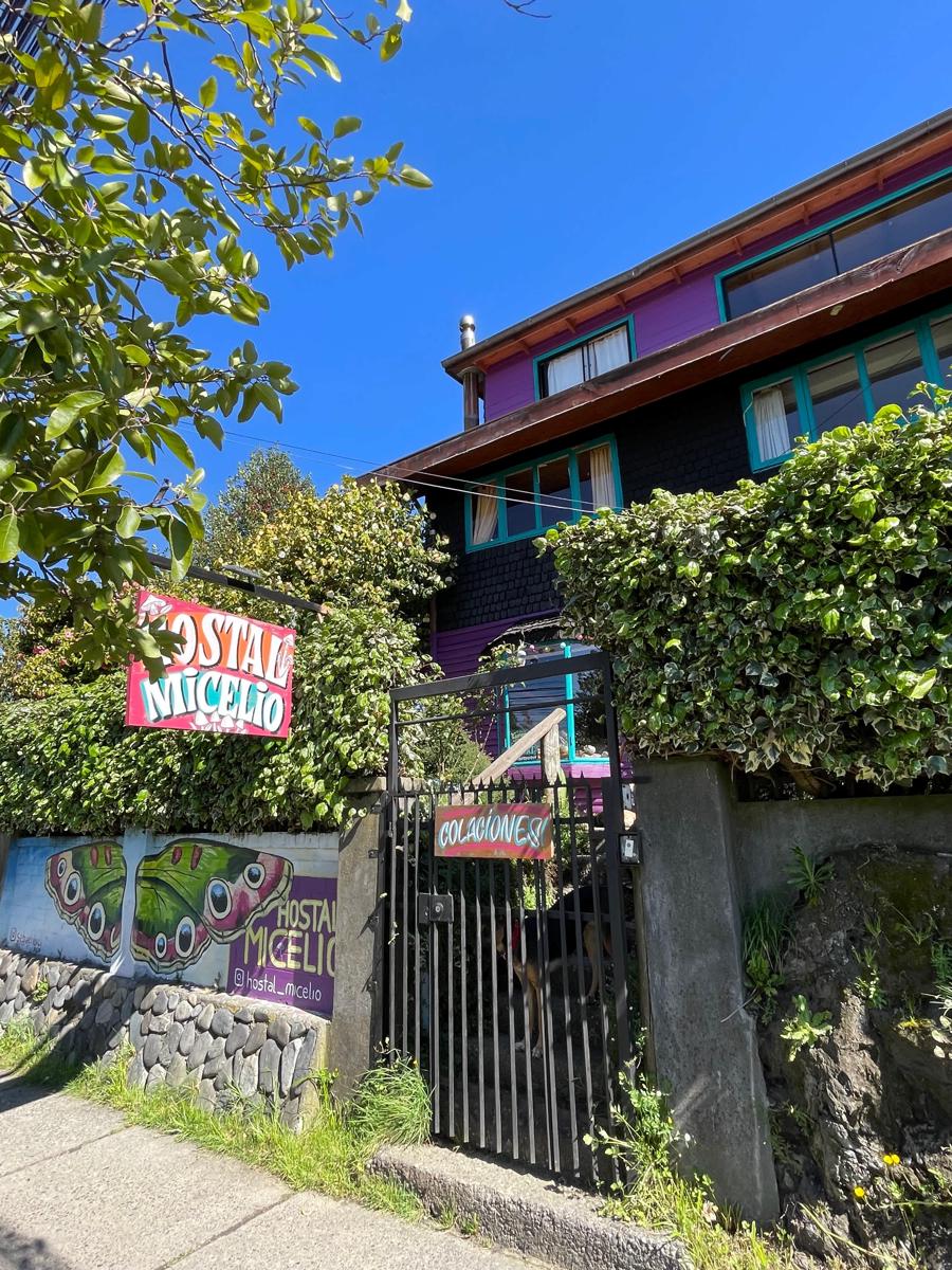 Hostal Micelio photo 1