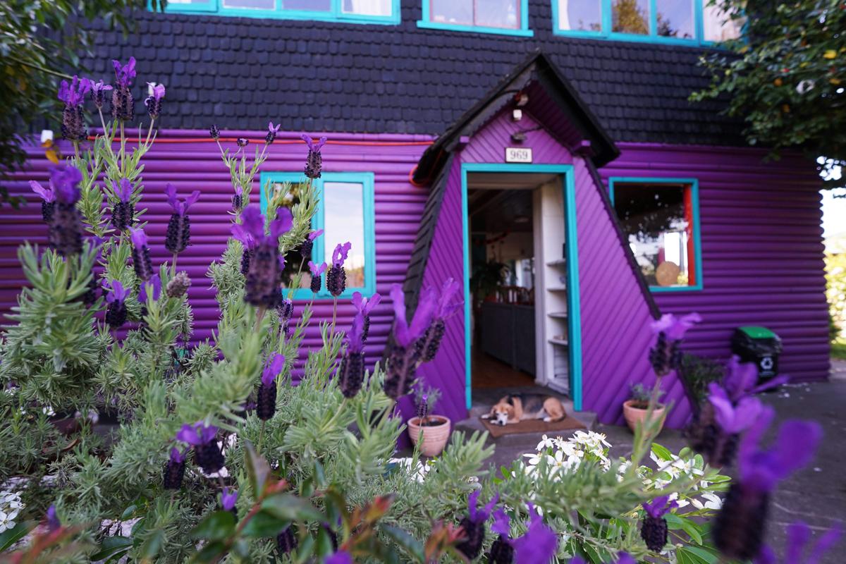 Hostal Micelio photo 2