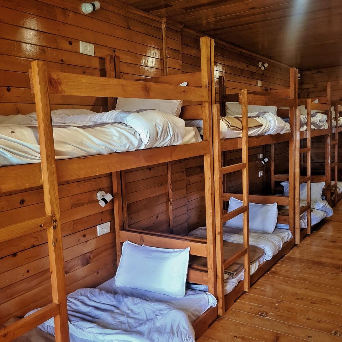EDM Hostel photo 4
