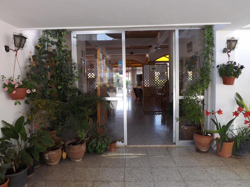 Paradise Holiday Bungalows photo 5