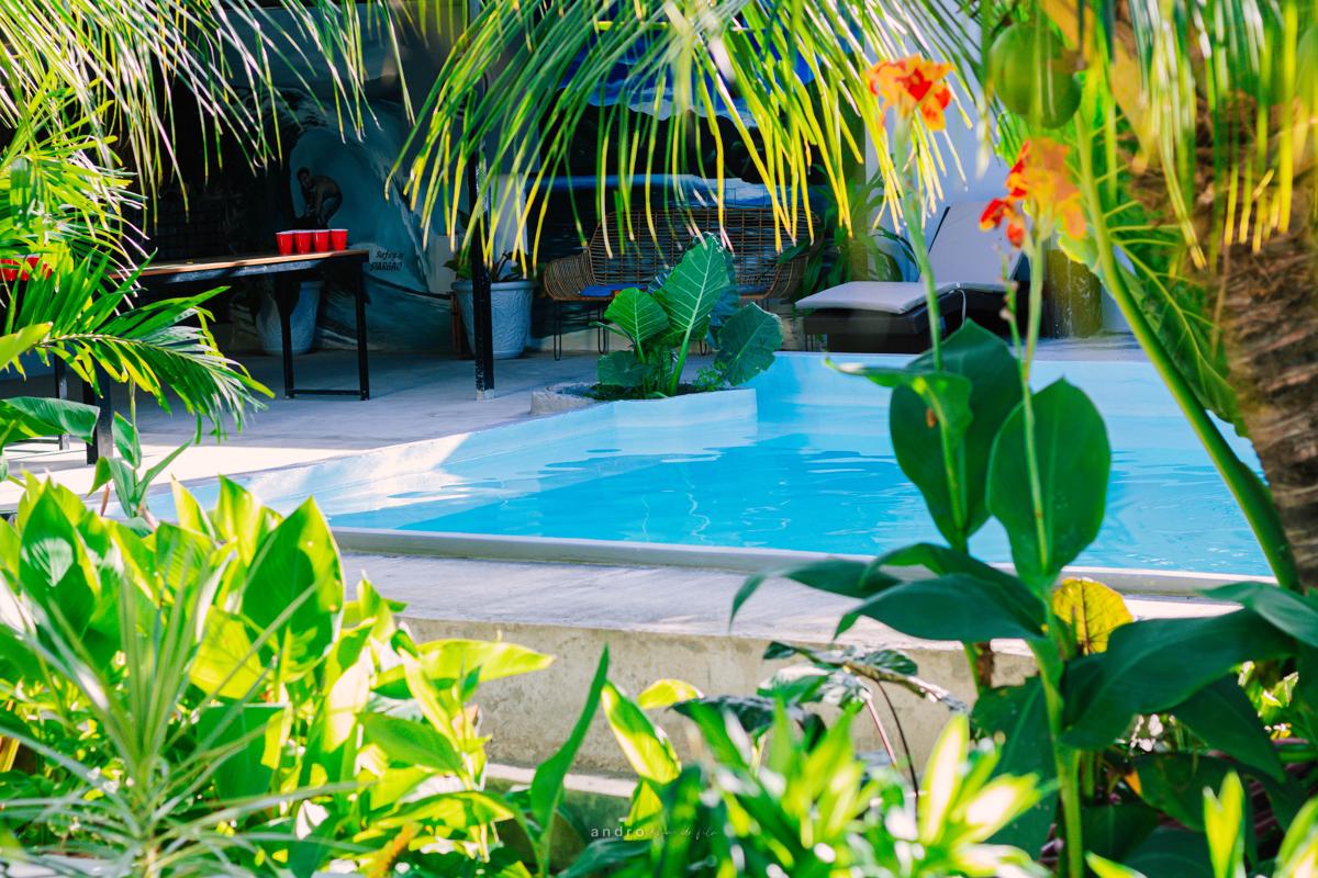 Ananas Guesthouse Moalboal photo 1