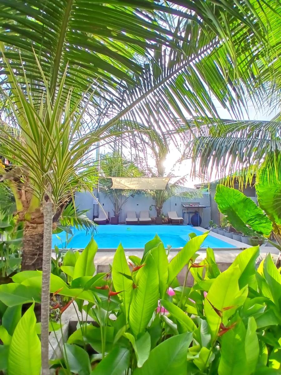 Ananas Guesthouse Moalboal photo 2