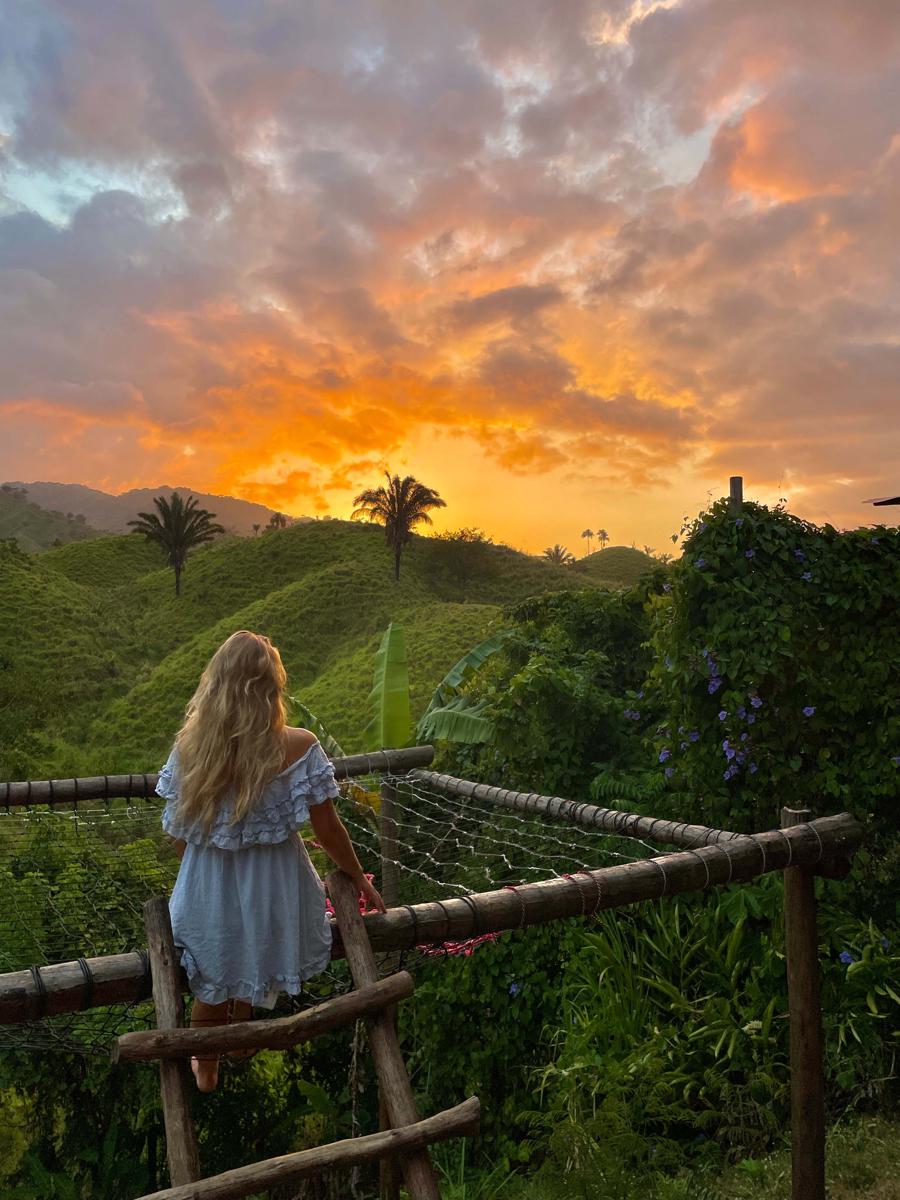 The Valley Tayrona Hostel - A social Jungle hostel photo 4