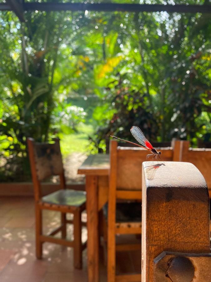 The Valley Tayrona Hostel - A social Jungle hostel photo 6