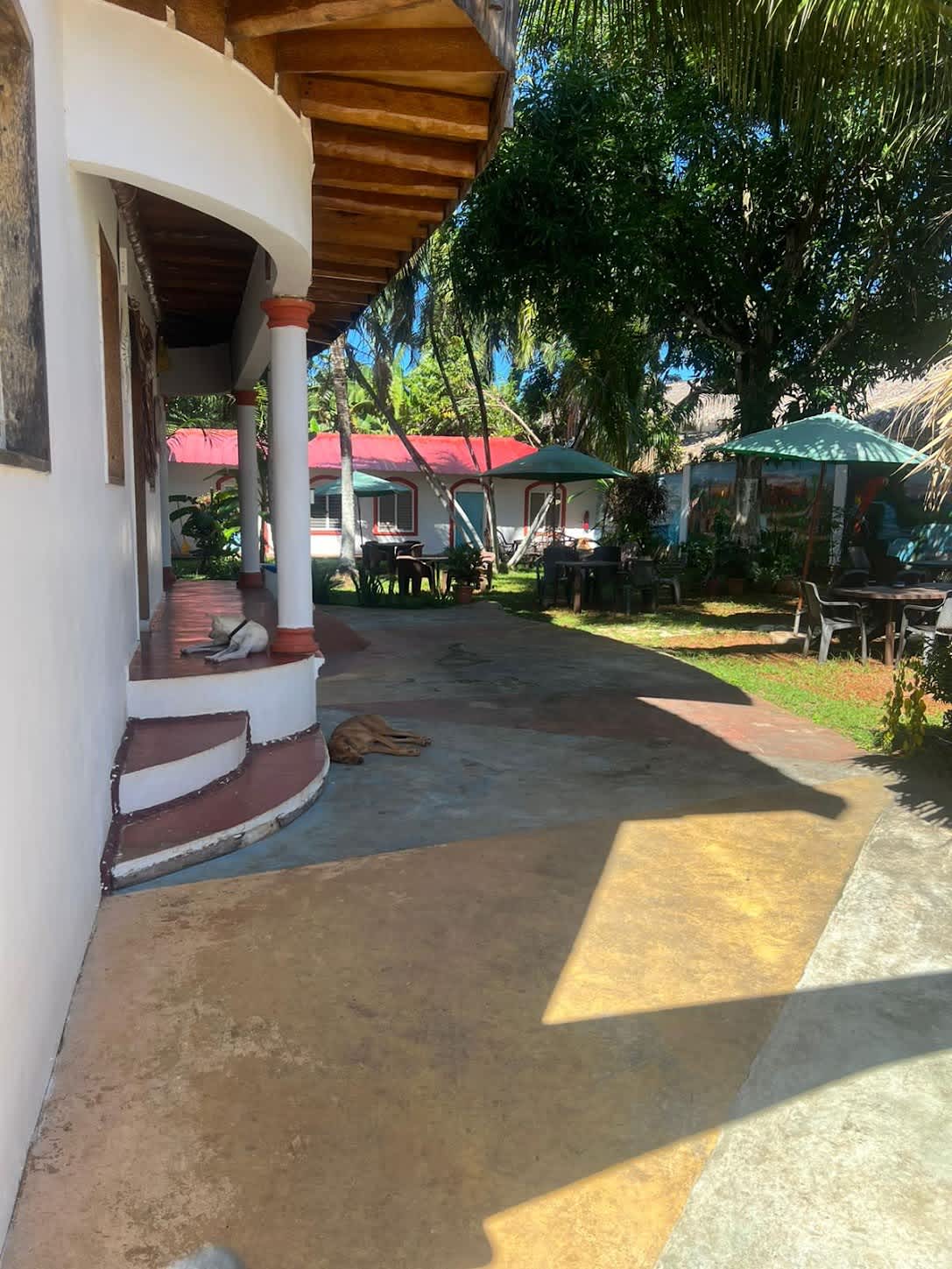 El Jardin del Coco photo 4