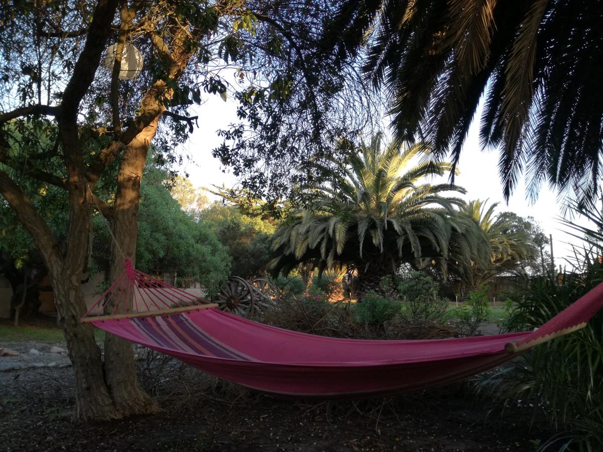 Eco lodge El Arbol photo 2