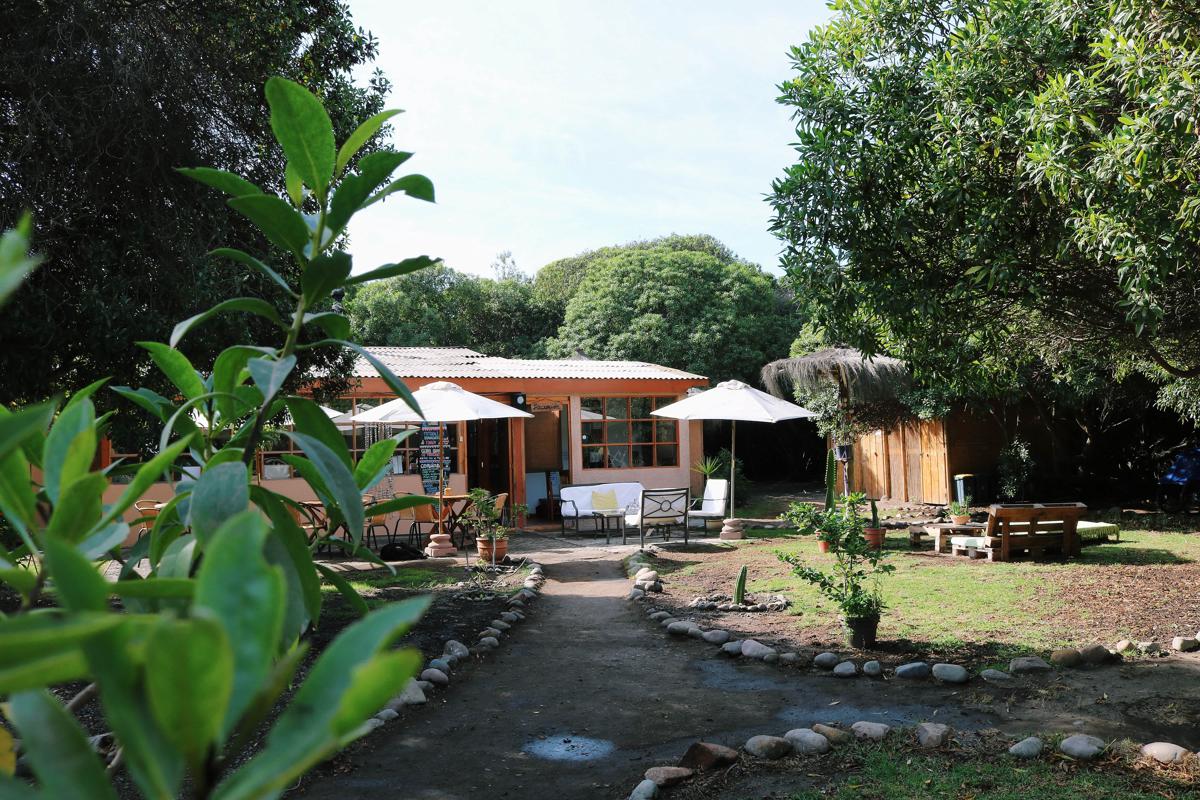 Eco lodge El Arbol photo 4