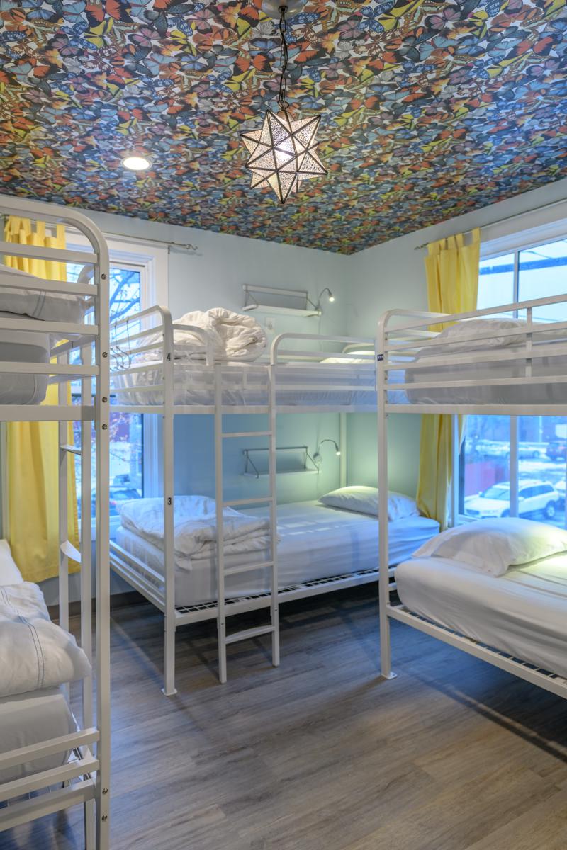 The Black Elephant Hostel photo 4