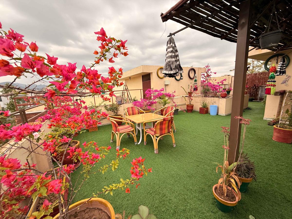 Coyote Den Travelers Hostel Islamabad photo 2