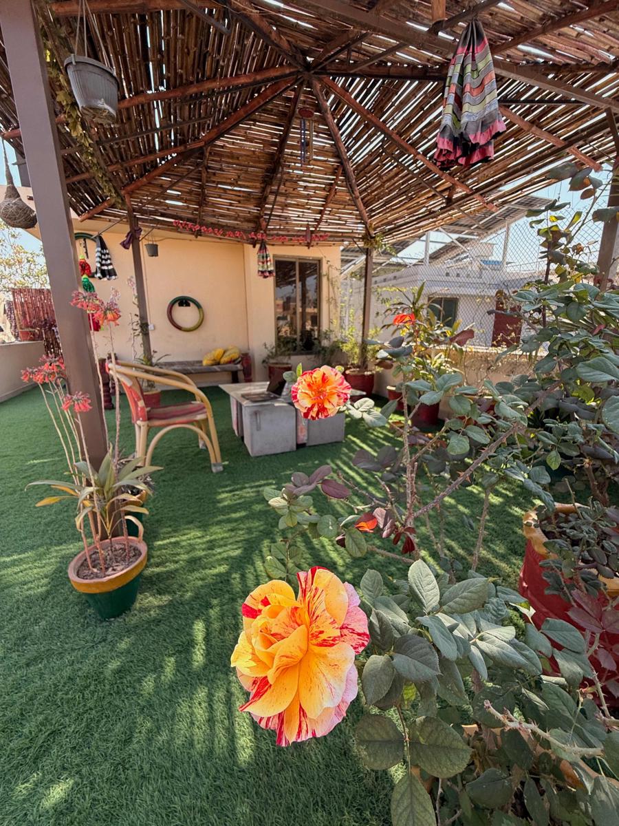 Coyote Den Travelers Hostel Islamabad photo 3