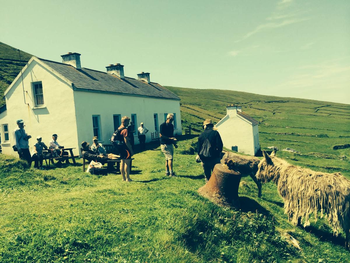 The Great Blasket Island Experience photo 2