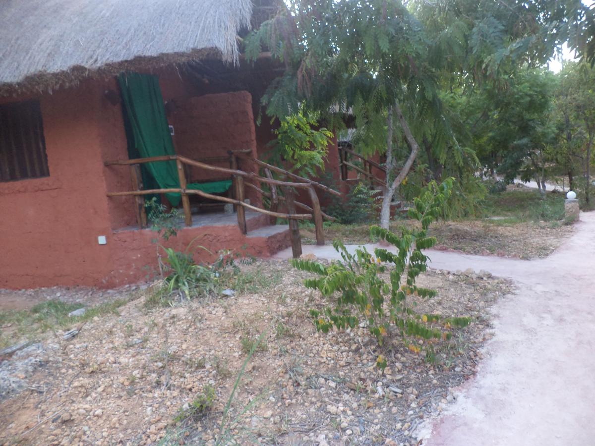 Gosana Nature and Surf B&B photo 4
