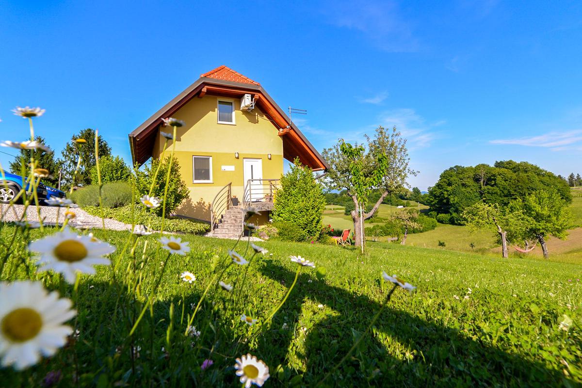 Apartments Vinska Trta photo 1