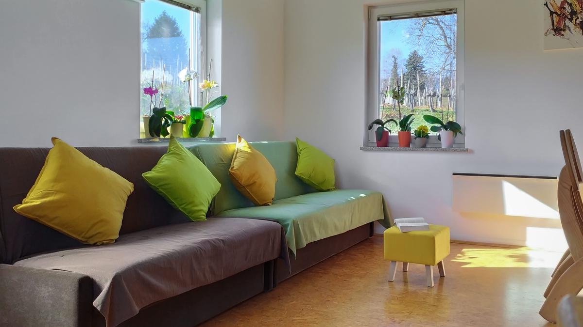 Apartments Vinska Trta photo 3