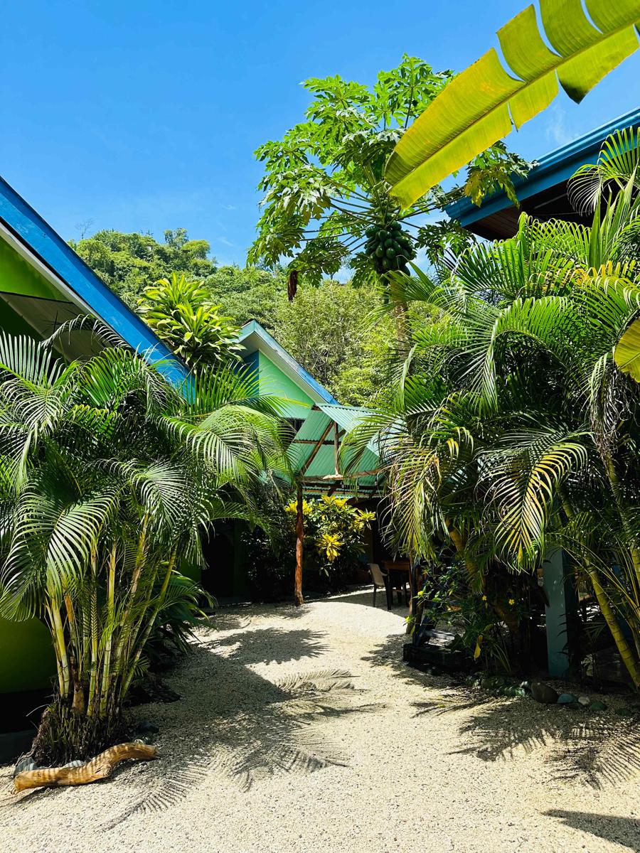 Surf Paradise photo 1